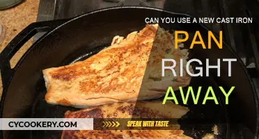 New Cast Iron Pan: Ready to Use?