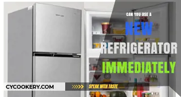 Using a New Refrigerator Immediately: What You Need to Know