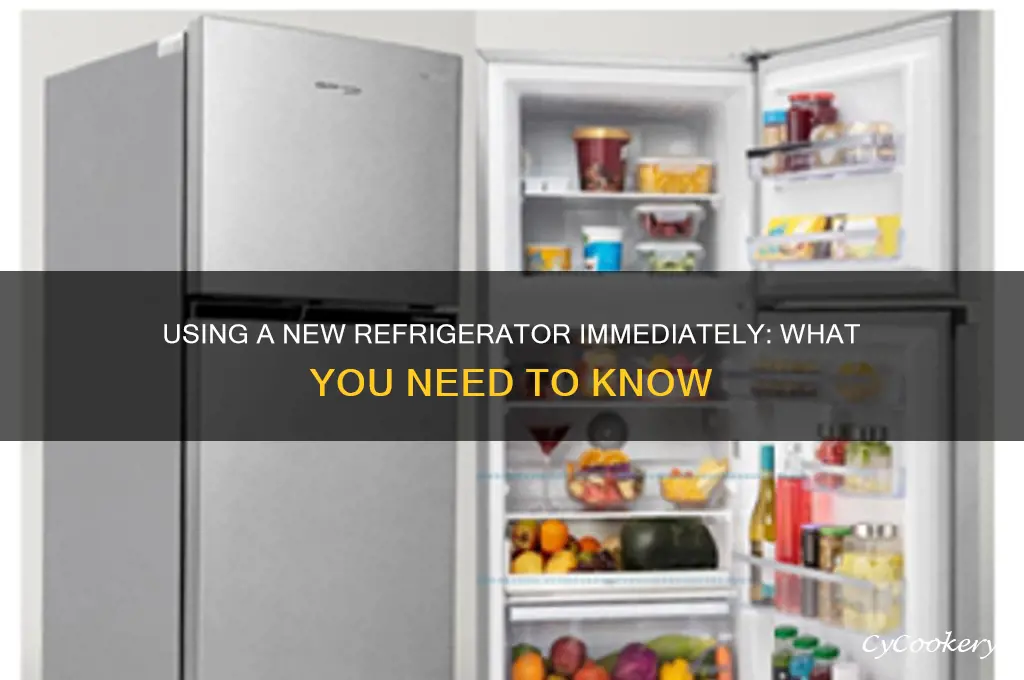 can you use a new refrigerator immediately