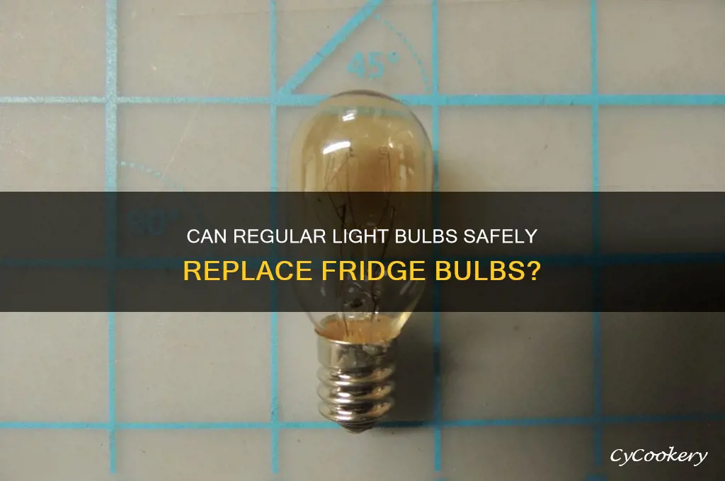 can you use a normal bulb in a refrigerator