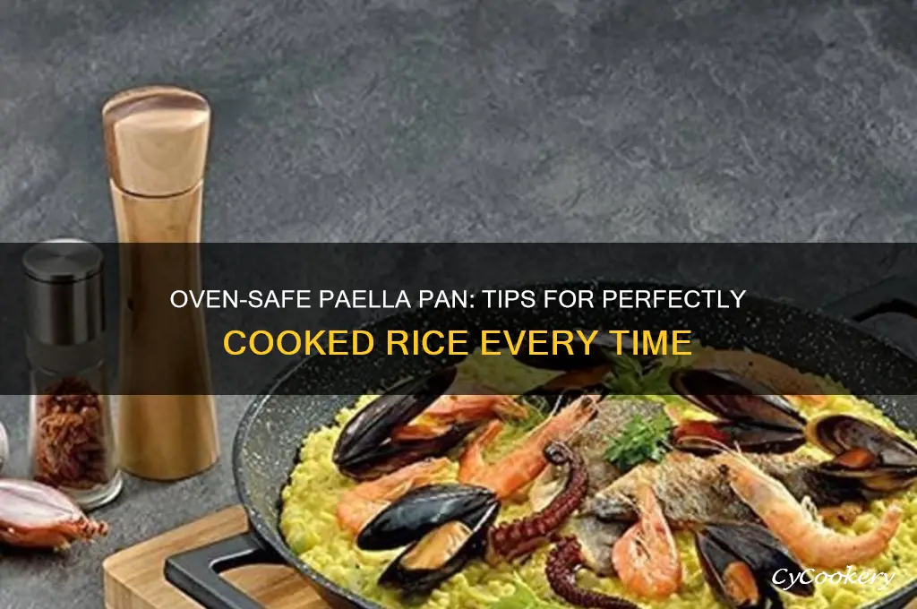can you use a paella pan in the oven