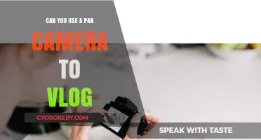 Vlogging with a Pan Camera: Pros, Cons, and Creative Tips