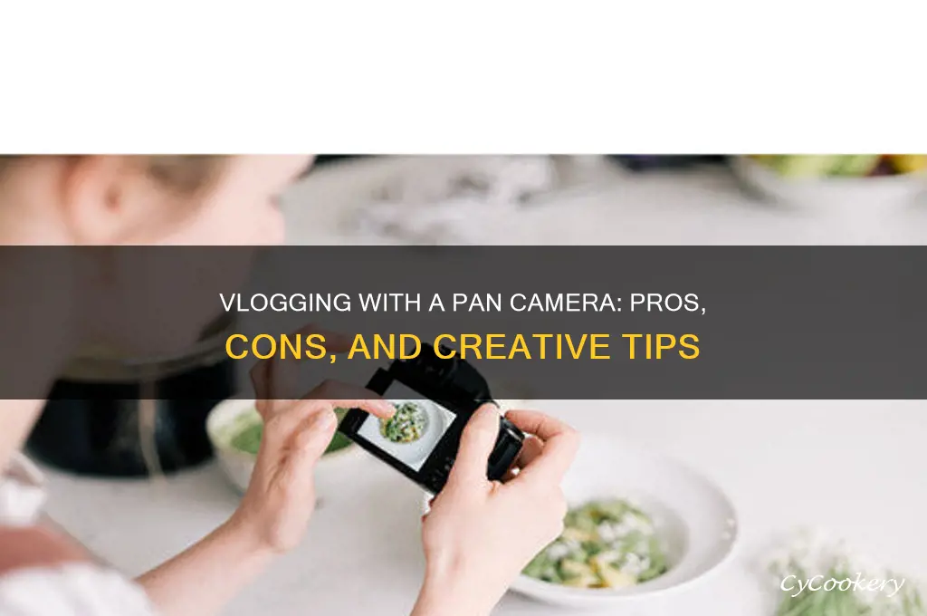 can you use a pan camera to vlog