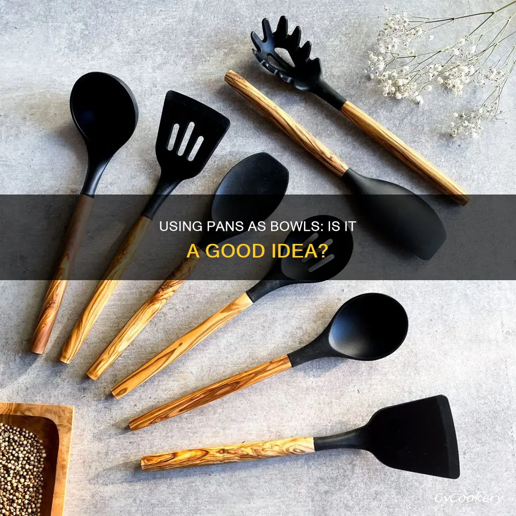 can you use a pan instead of a bowl