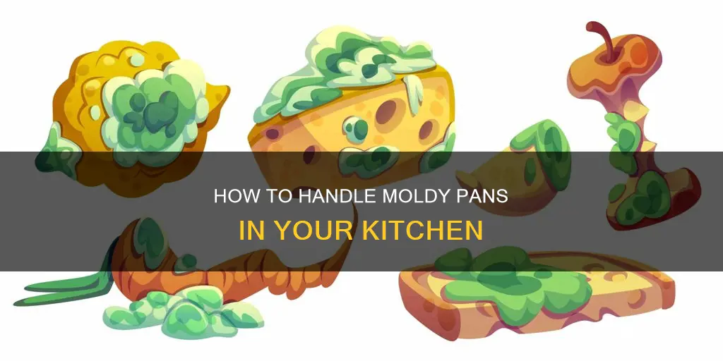 can you use a pan that has mold on it