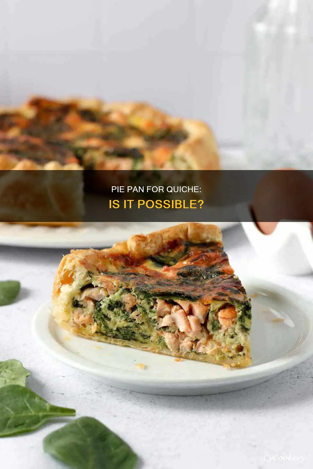 can you use a pie pan for quiche