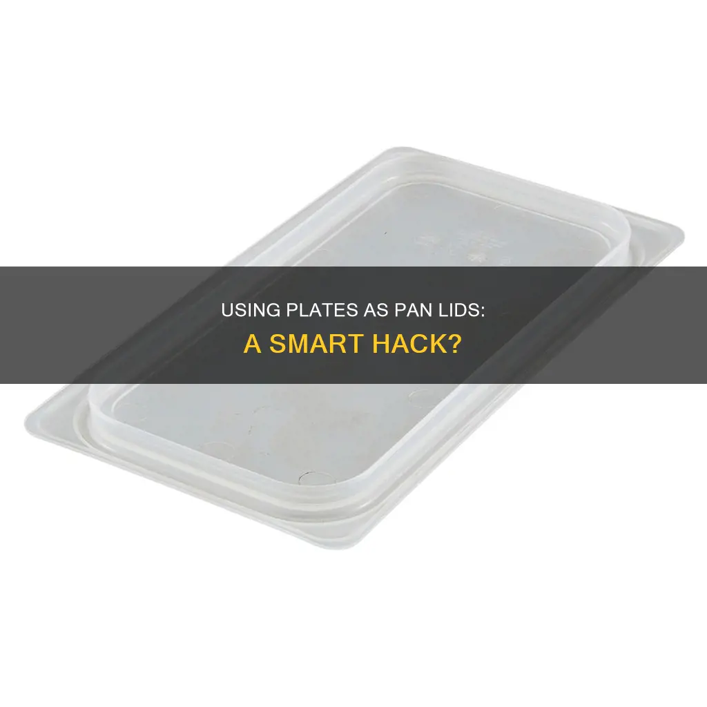 can you use a plate as a pan lid