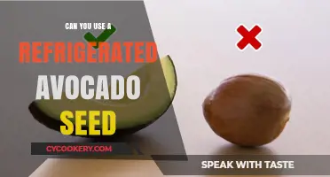 Revive Your Refrigerated Avocado Seed: Creative Uses and Tips