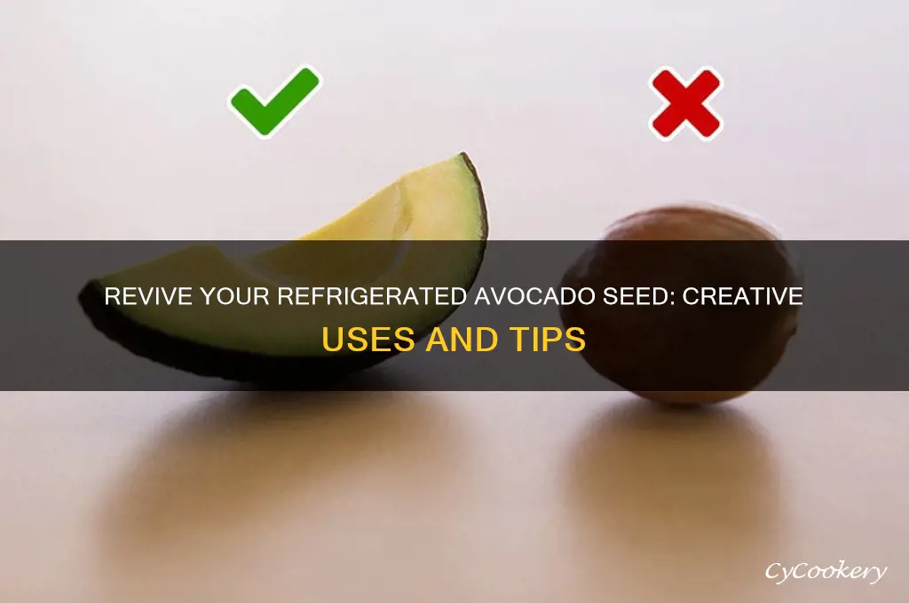 can you use a refrigerated avocado seed