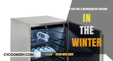 Using Your Refrigerator Outdoors in Winter: Is It Safe and Efficient?
