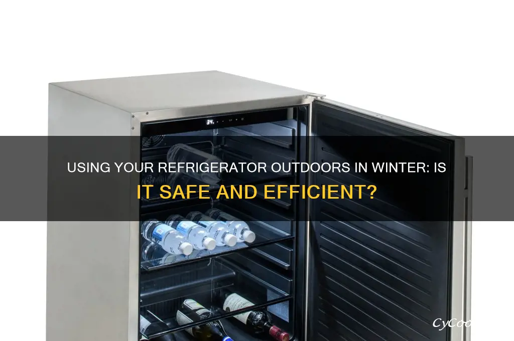 can you use a refrigerator outside in the winter