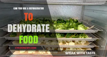 Using a Refrigerator for Food Dehydration: Is It Possible?
