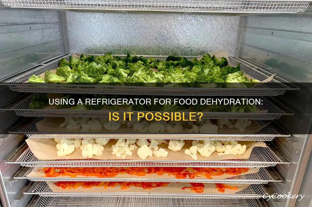 can you use a refrigerator to dehydrate food