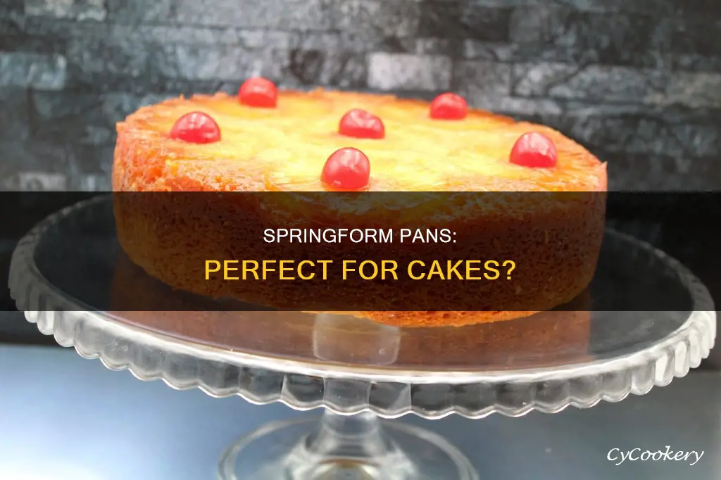 can you use a spring pan for cake