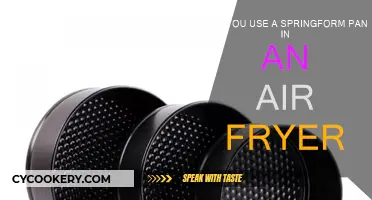 Springform Pan Air Fryer: Is It Possible?