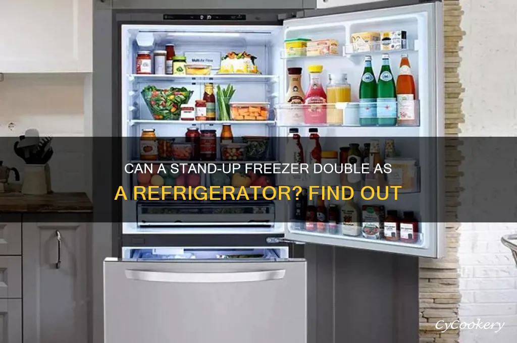 can you use a stand up freezer as a refrigerator