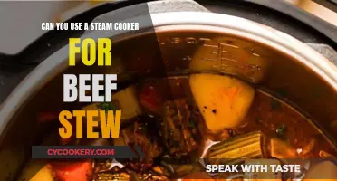 Steam Cooker for Beef Stew: Is It Possible?