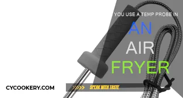 Air Fryer Hack: Temp Probe for Perfect Results