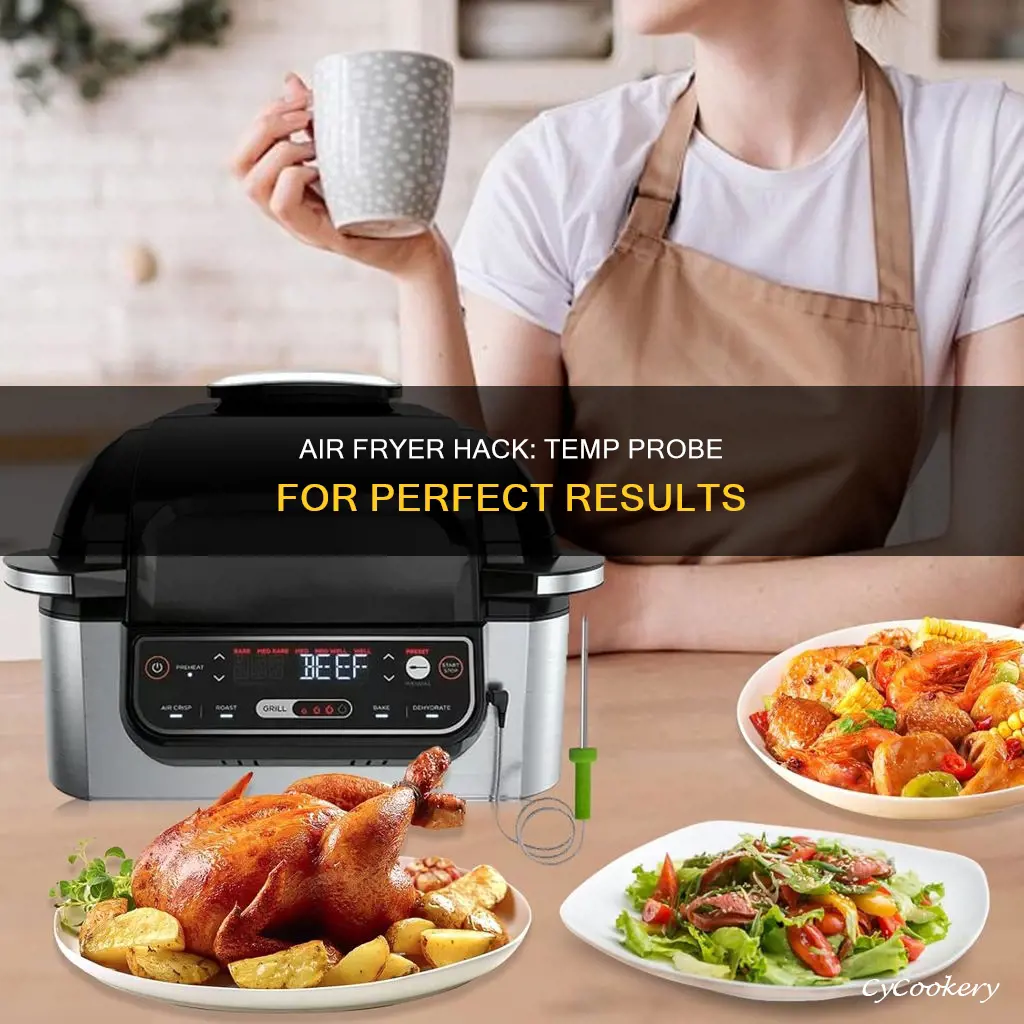 can you use a temp probe in an air fryer