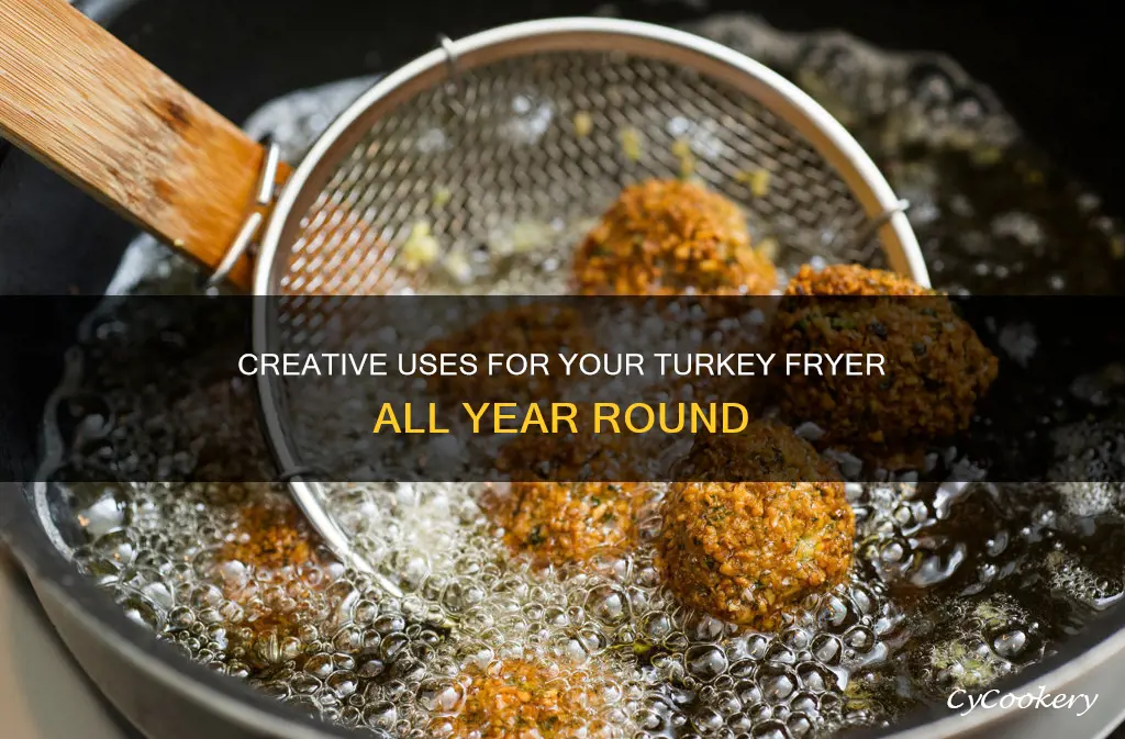 can you use a turkey fryer for other things