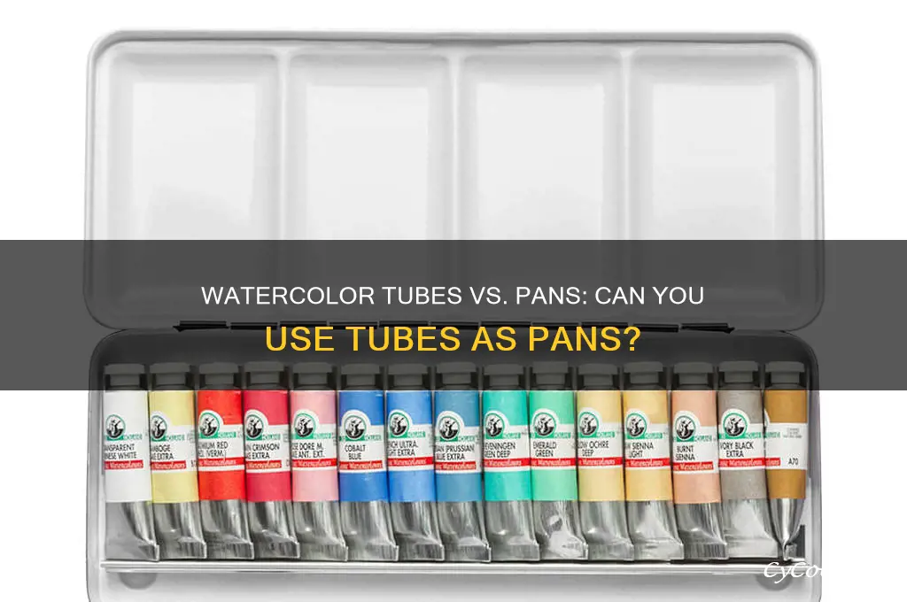 can you use a watercolor tube as pans