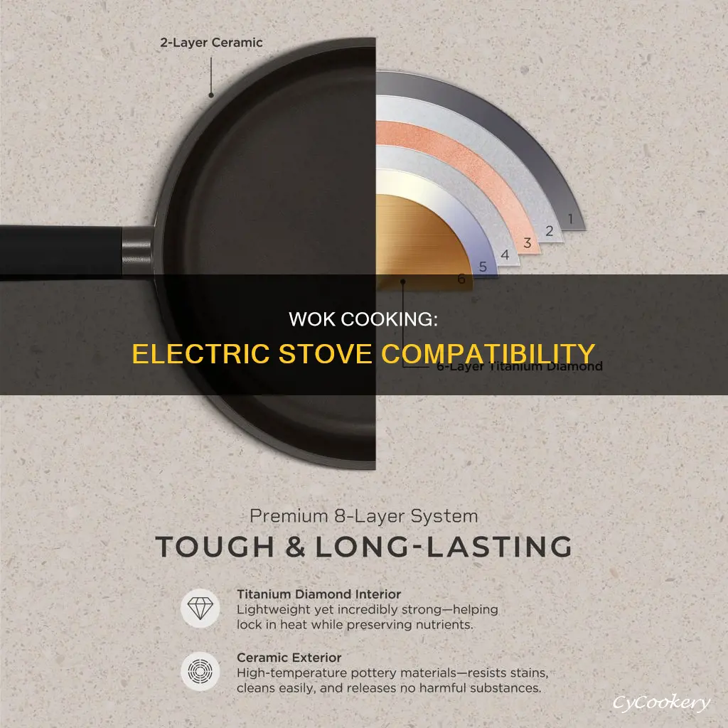 can you use a wok pan or an electric stove