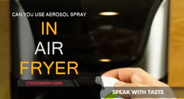 Air Fryer Cooking: Aerosol Spray Use Explored