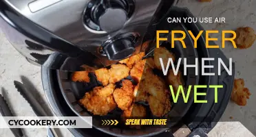 Air Fryer Safety: Wet vs Dry