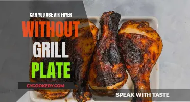 Air Fryer Grilling: Grill Plate Necessary?