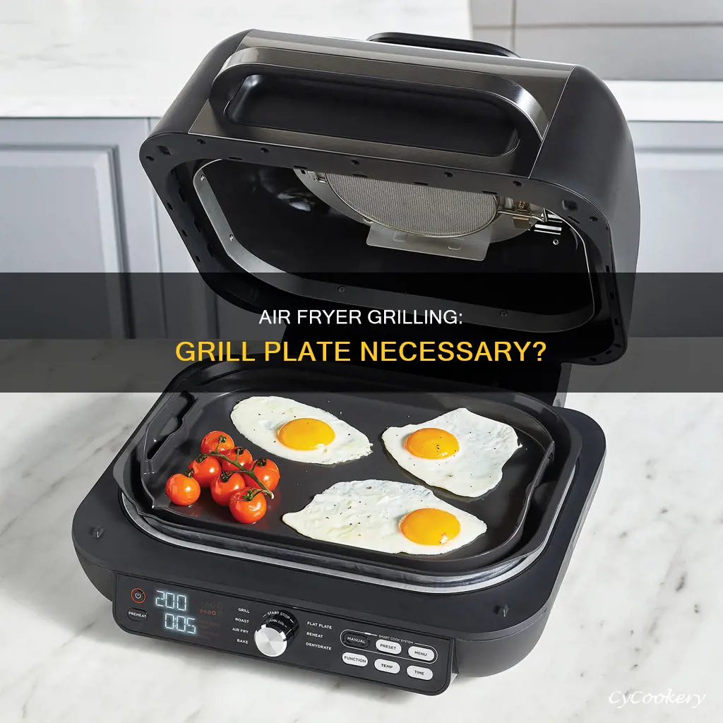 can you use air fryer without grill plate