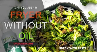 Air Fryer Without Oil: Is It Possible?