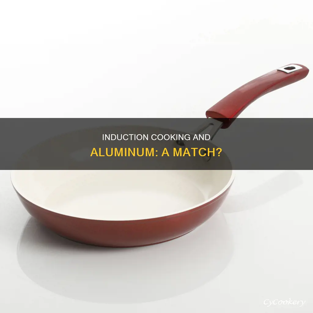 can you use aluminium pans on an induction cooktop