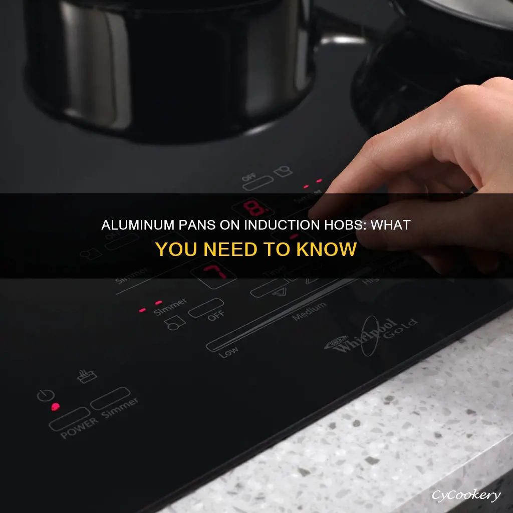 can you use aluminium pans on an induction hob
