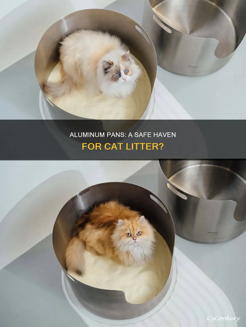 can you use aluminum pans for cat litter