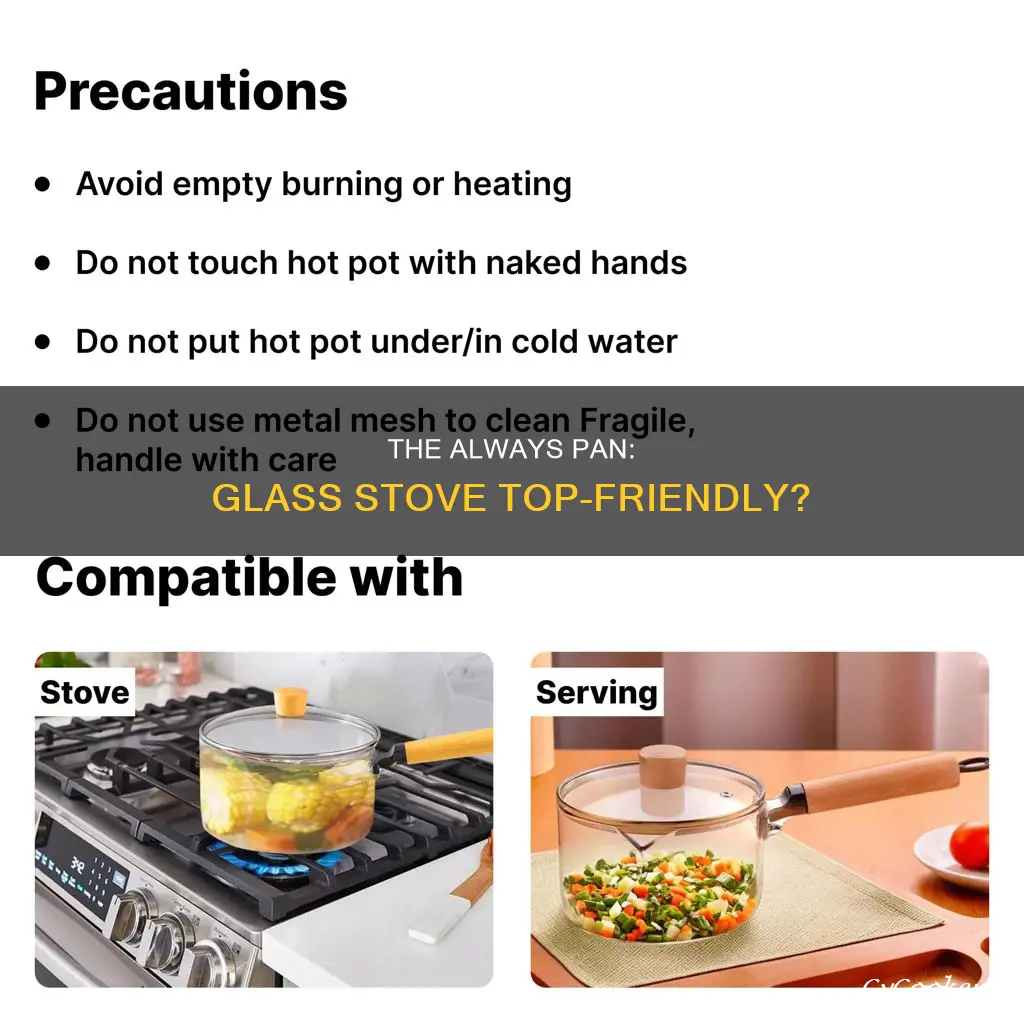 can you use always pan on glass top stove