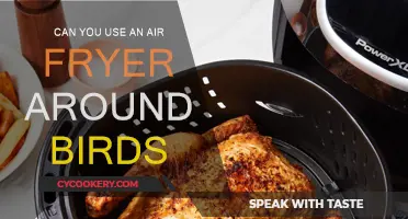 Air Fryers and Birds: Safe or Not?