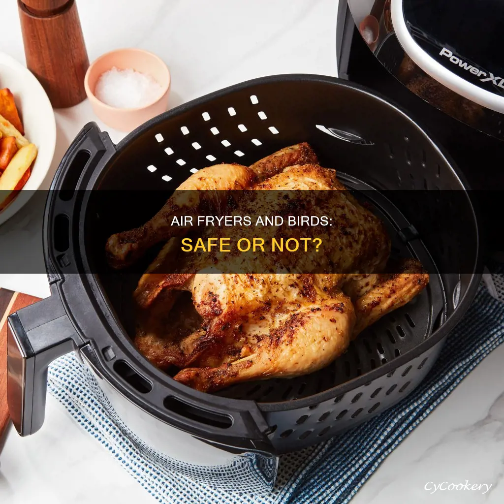 can you use an air fryer around birds