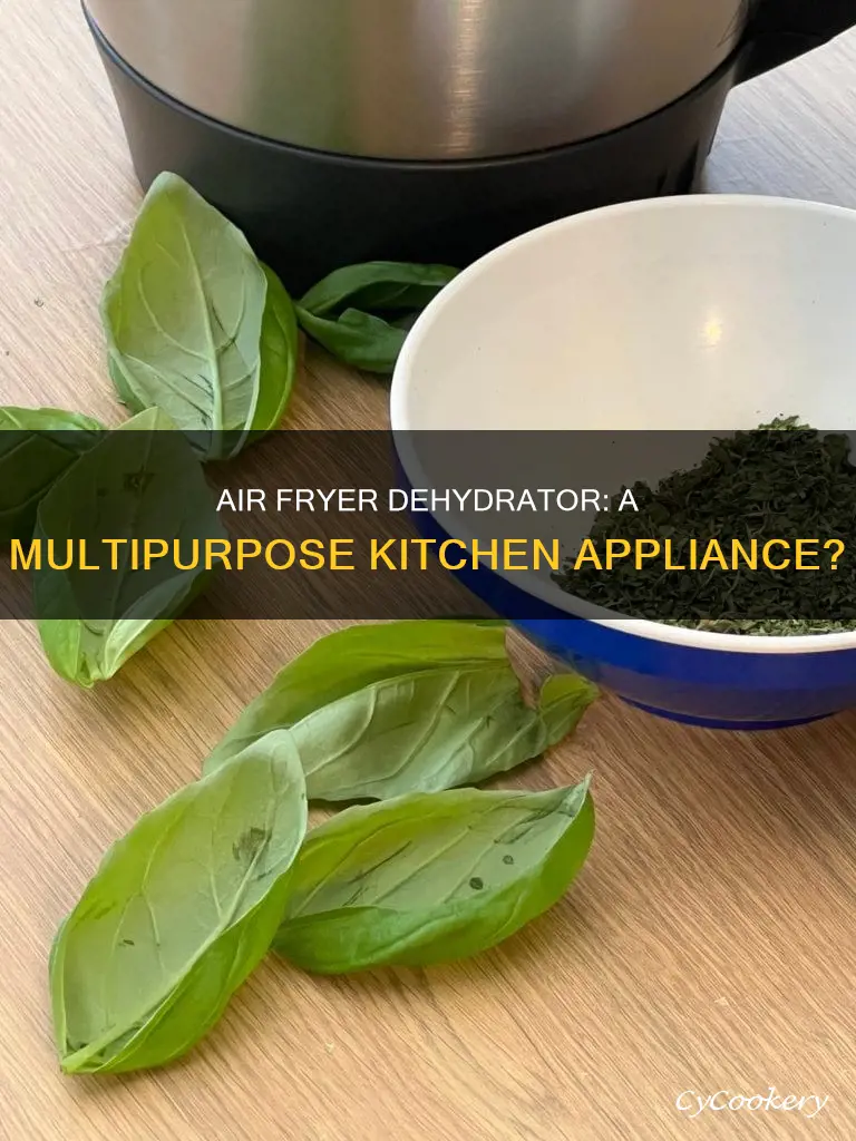 can you use an air fryer as a dehydrator