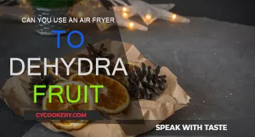 Air Fryer Dehydration: Can You Dry Fruit This Way?