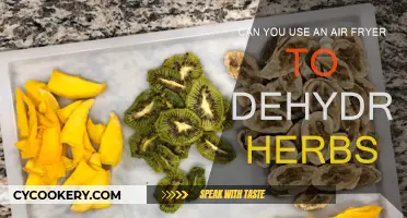 Air Fryer Dehydration: Herbs and Beyond