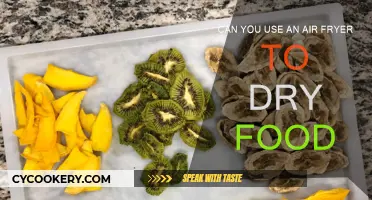 Air Fryer Food Dehydrator: Is It Possible?