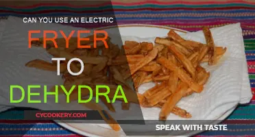 Electric Fryer Dehydration: Is It Possible?