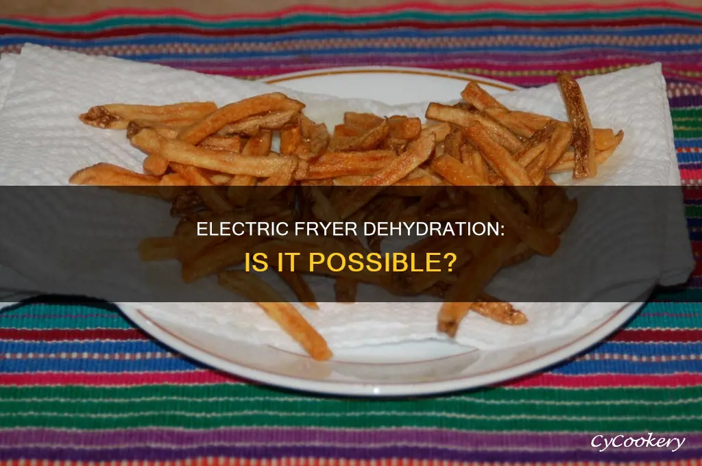 can you use an electric fryer to dehydrate