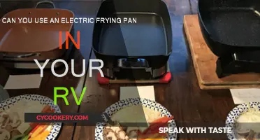 RV Electric Frying Pan: Safe or Not?