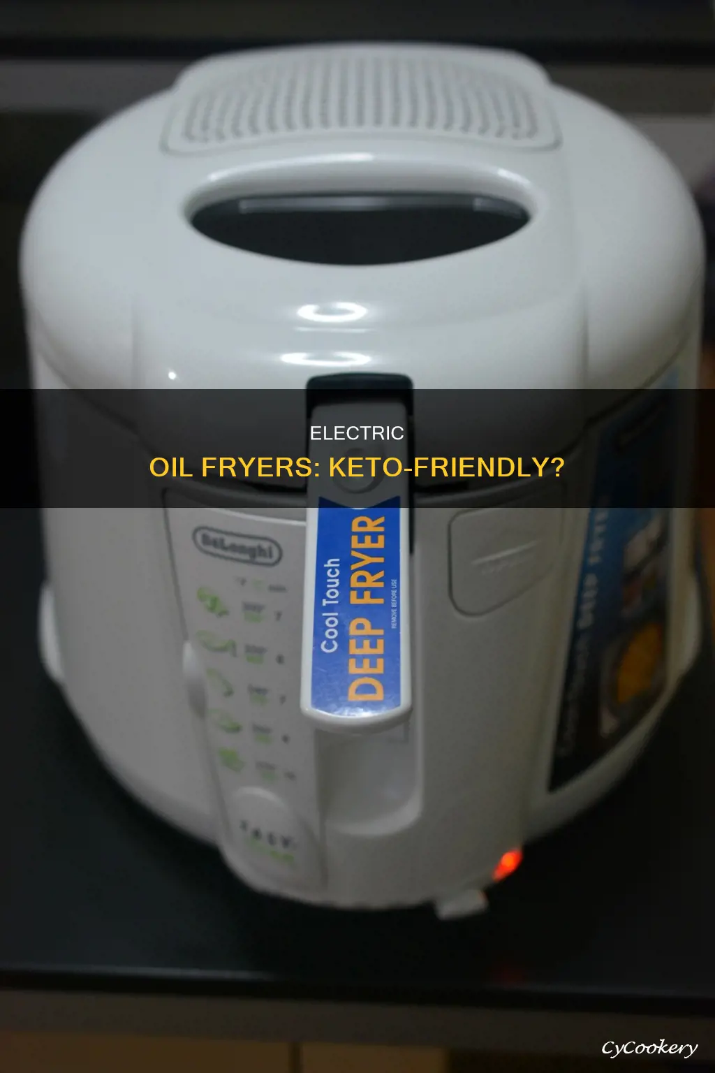 can you use an electric oil fryer for keto