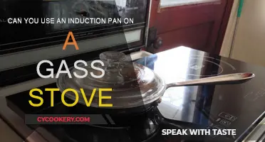 Induction Pans: Are They Compatible With Gas Stoves?
