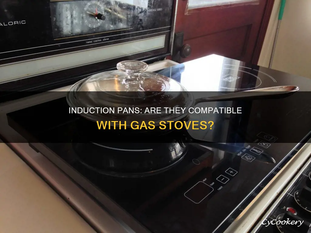 can you use an induction pan on a gass stove