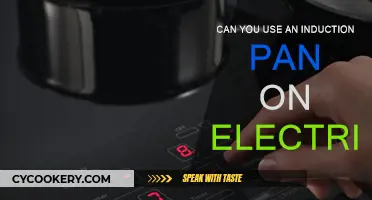 Induction Pans: Electric Stove Compatible?