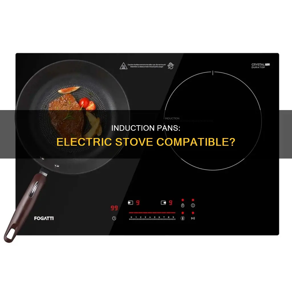 can you use an induction pan on electric