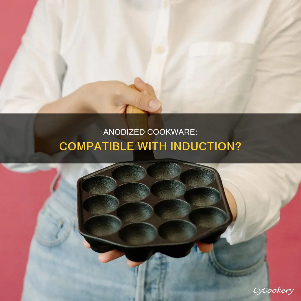 can you use anodized cooking pot for induction cook top